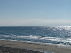１１時のロングビーチ