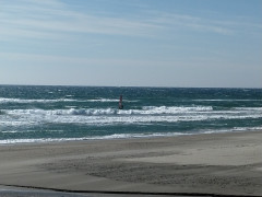 11時半のロングビーチ