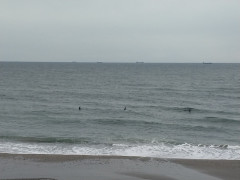 ９時のロングビーチ