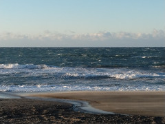 ７時のロングビーチ