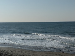 ８時半のロングビーチ
