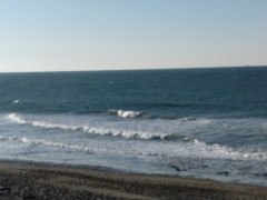 7時半のロングビーチ