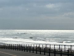 9時過ぎのロングビーチ