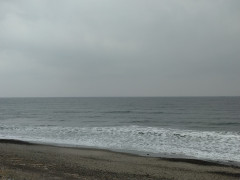 7時半のロングビーチ