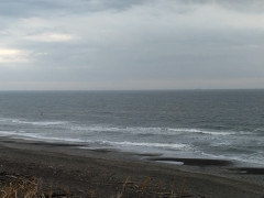 7時のロングビーチ