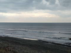 ７時半のロングビーチ