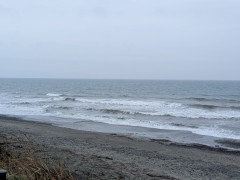 ９時のロングビーチ