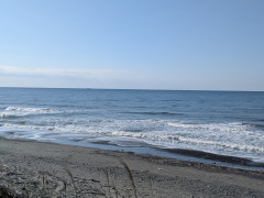 ８時のロングビーチ