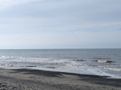 7時半のロングビーチ
