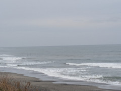 6時半のロングビーチ
