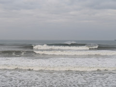 6時半のロングビーチ
