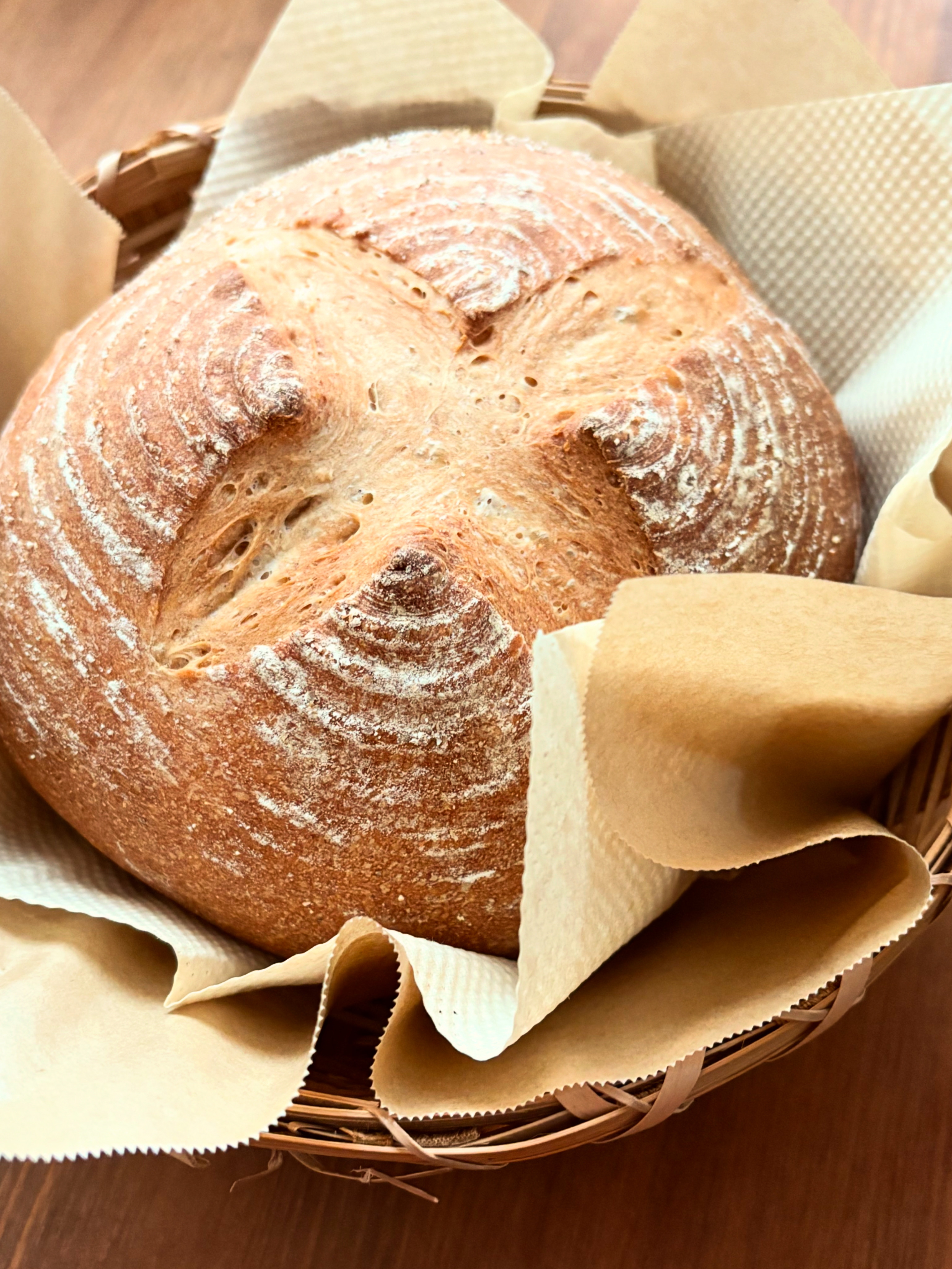 2月26日（木）出店致します。