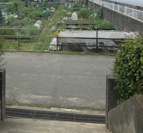 IMG_5263.jpeg