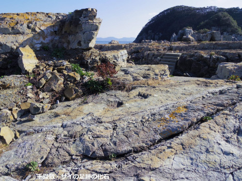 千畳敷サイの足跡の化石、１.jpg
