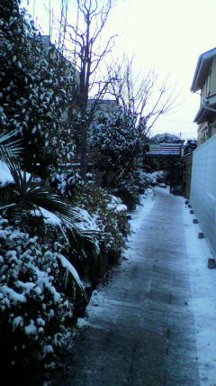 20130529024136.jpg