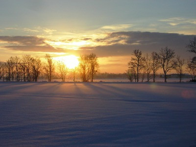 雪原の朝.jpg