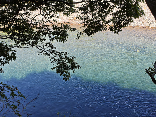 IMG_20260725_082529.jpg
