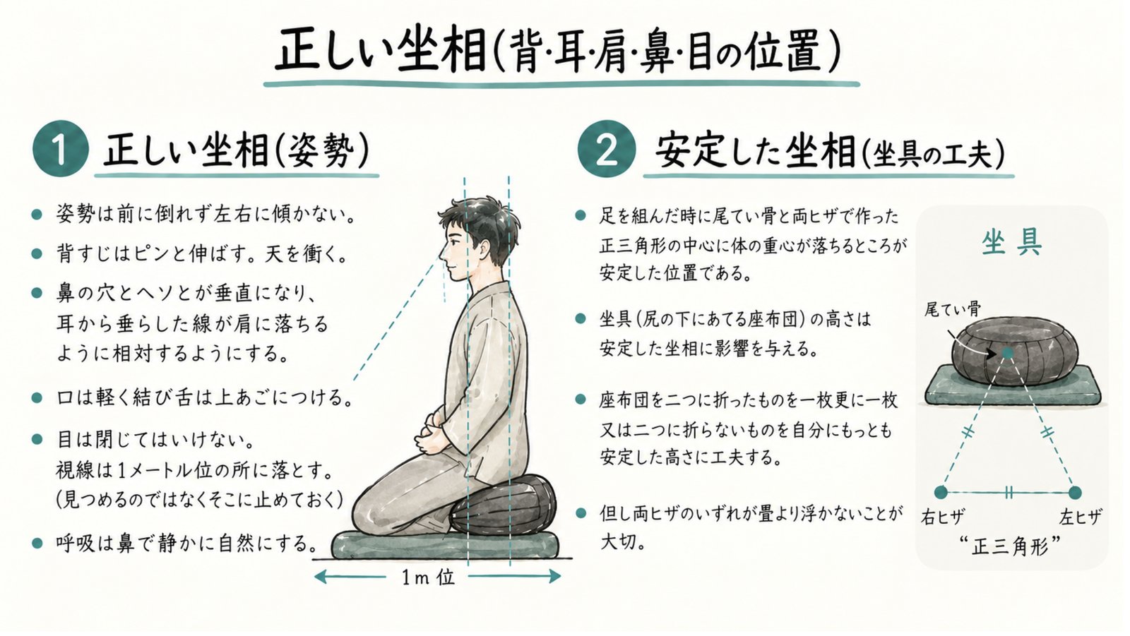 正しい坐相の図解。背・耳・肩・鼻・目の位置と、坐具の工夫