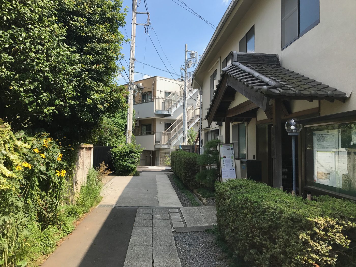擇木道場の入口へ続く道