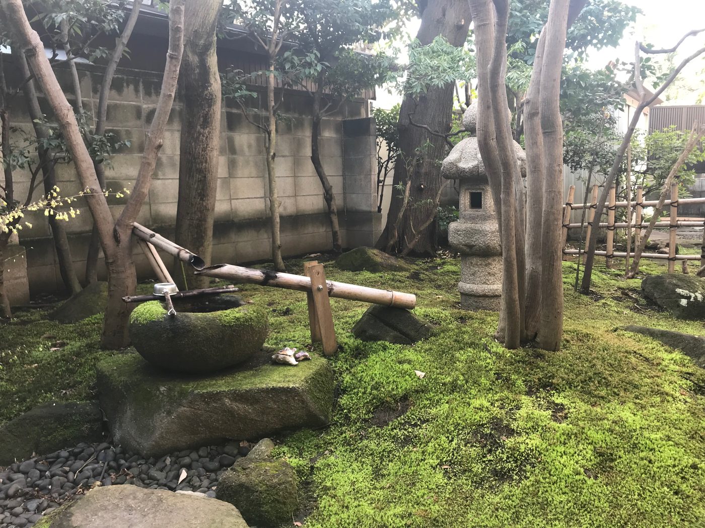 擇木道場の庭。苔と蹲