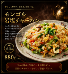 モンゴル岩塩チャーハン