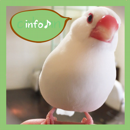 夏季休業のお知らせ
