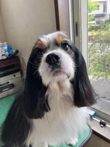 原田　ベルくん
