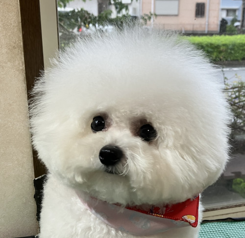 お友達