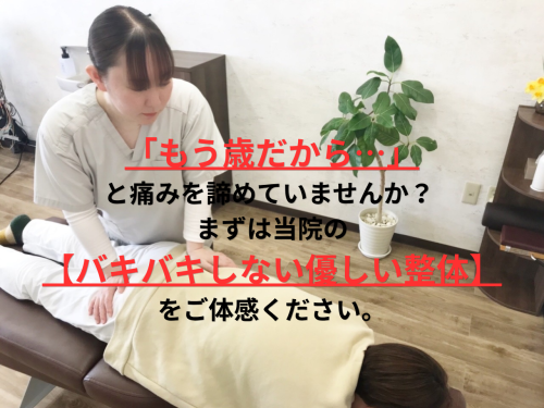 「もう歳だから&hellip;」と痛みを諦めていませんか？ まずは当院の 【バキバキしない優しい整体】をご体感ください。.png