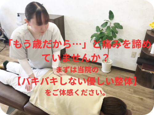 名称未設定のデザイン.png