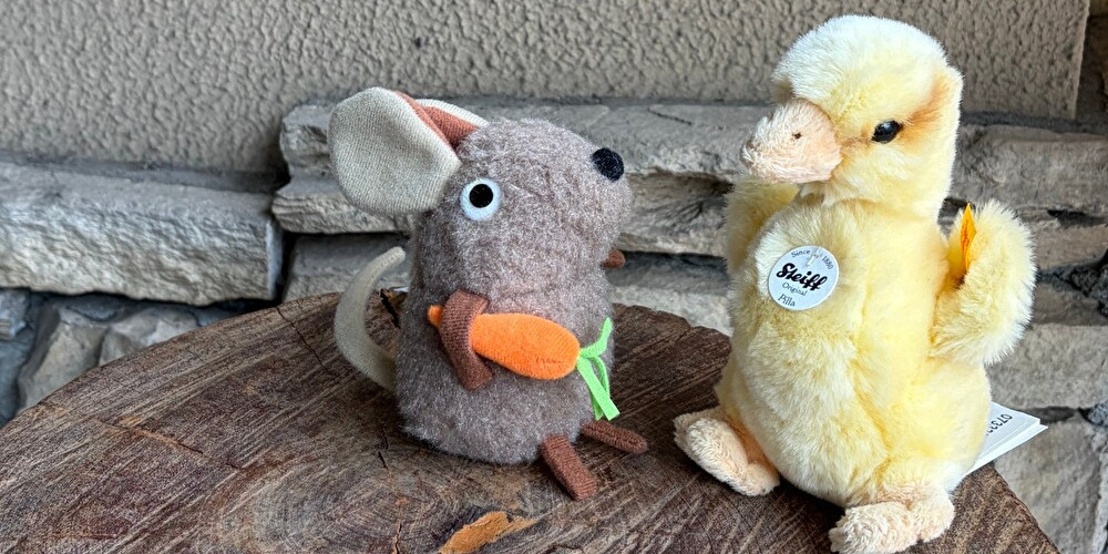 どこへ行くの？　あそびましょ