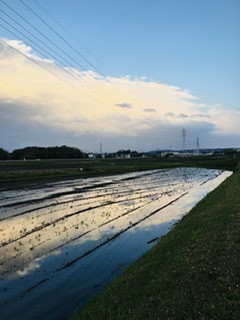 春なのか　気付かぬままに　春の雷