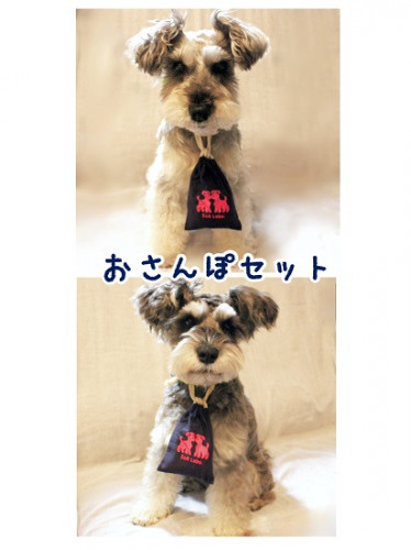 ♪おさんぽセット♪できました〜