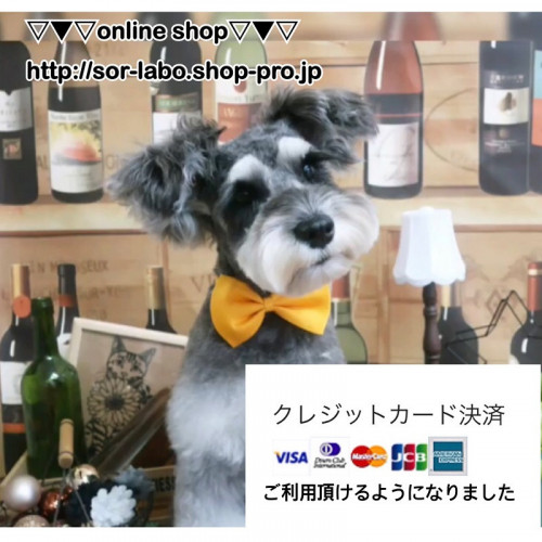 オンラインショップでのクレジットカード決済可能になりました