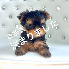 IMG_2057.png