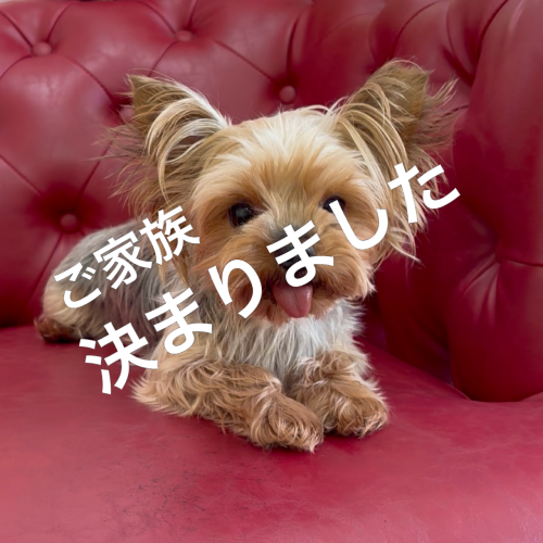 IMG_3027.png