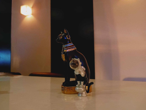 【2026年3月前半のおやすみ情報→関西で催眠術を体験できる場所→大阪難波心斎橋のマジックバー】