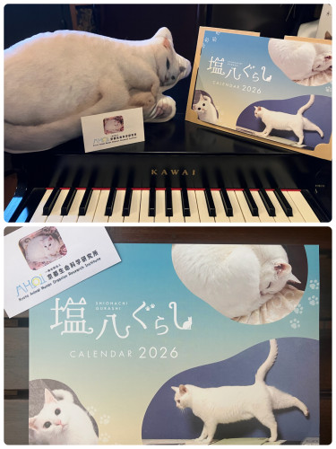 2026年塩八カレンダー販売開始