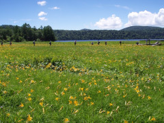 P7220260[1].JPG