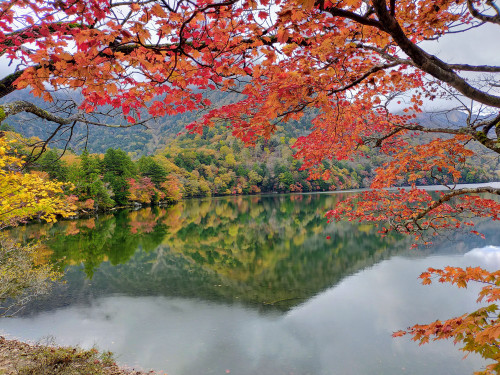 IMG20201018150912.jpg