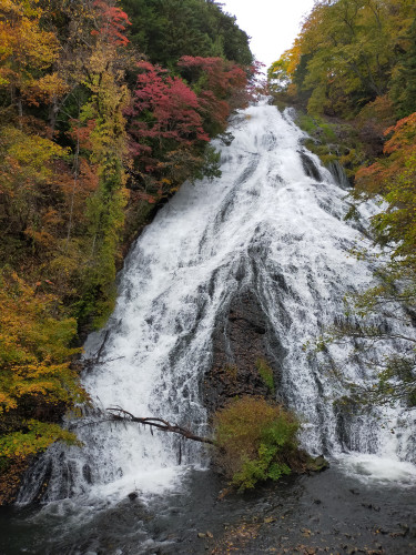 IMG20201018152306.jpg
