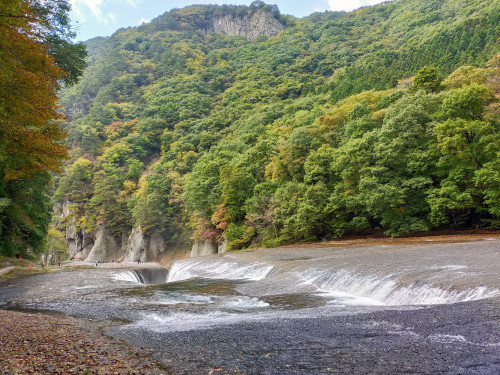 IMG20201021105002.jpg