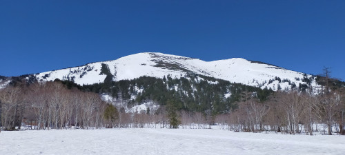 IMG20210426091915.jpg