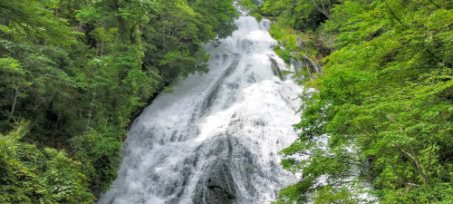 夏の湯滝2021