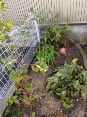 IMG20221103124025.jpg
