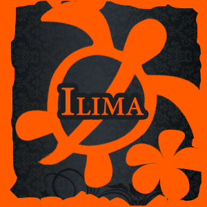 店舗情報アクセス イリマは本格bodyトリートメント リラクゼーションサロンです