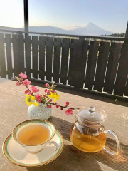 ヤーコン茶（お替り無料）