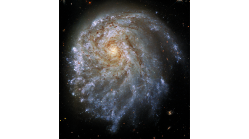 STScI-01F60K53JDGQT2DQ8514J45MFC.png