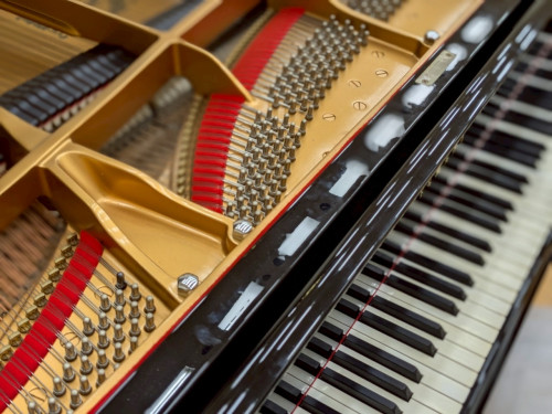 2025サマーコンサート