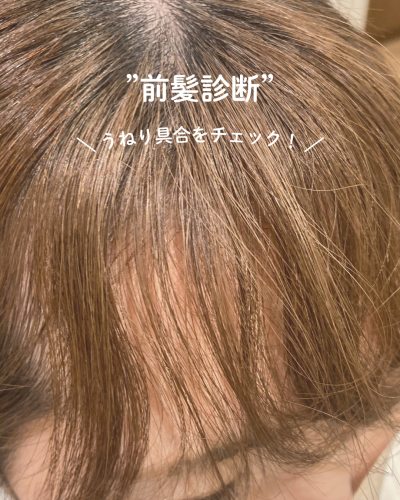 前髪革命 縦型 (4).png
